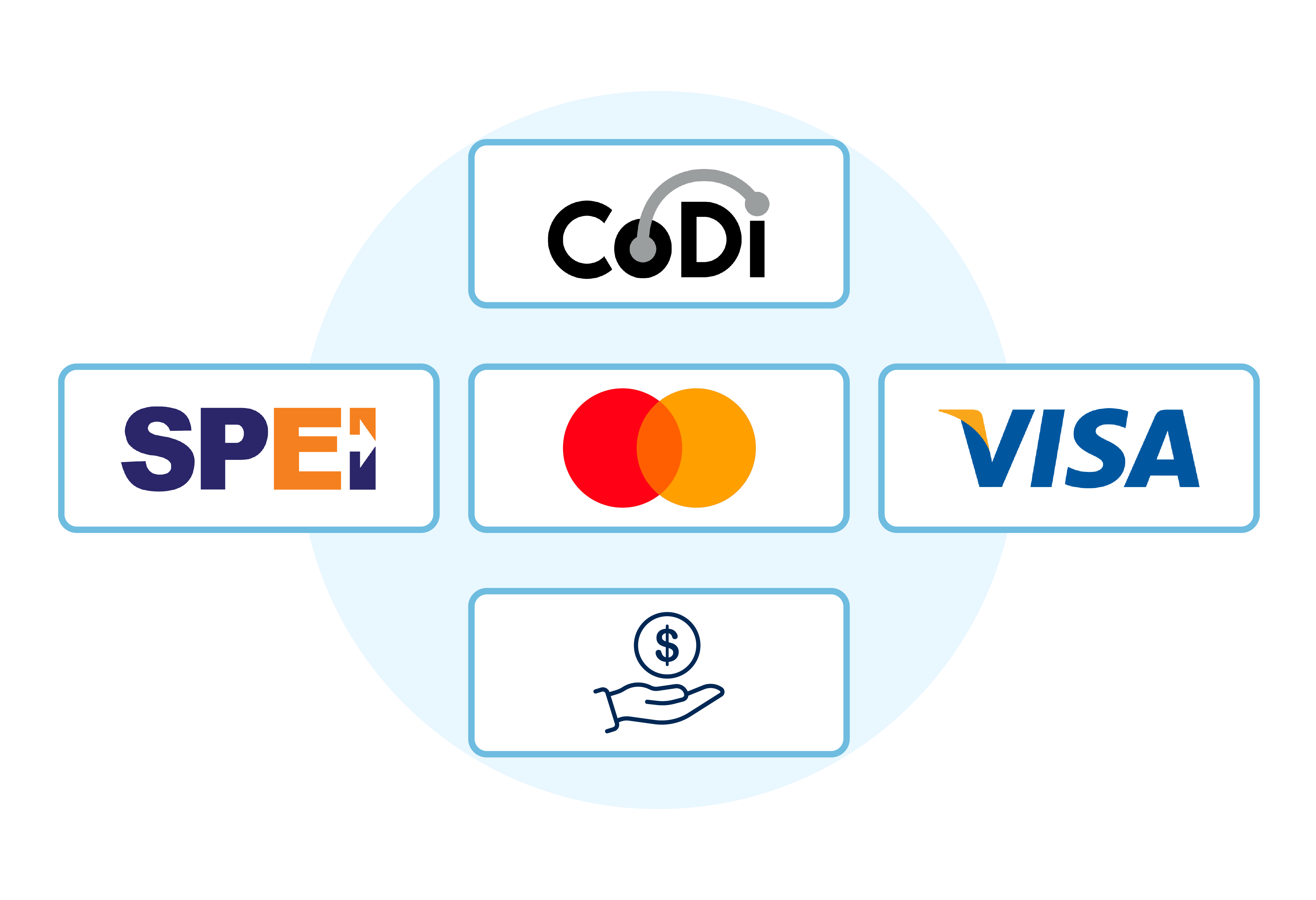 medios de pago codi, débito, crédito, sepa, efectivo